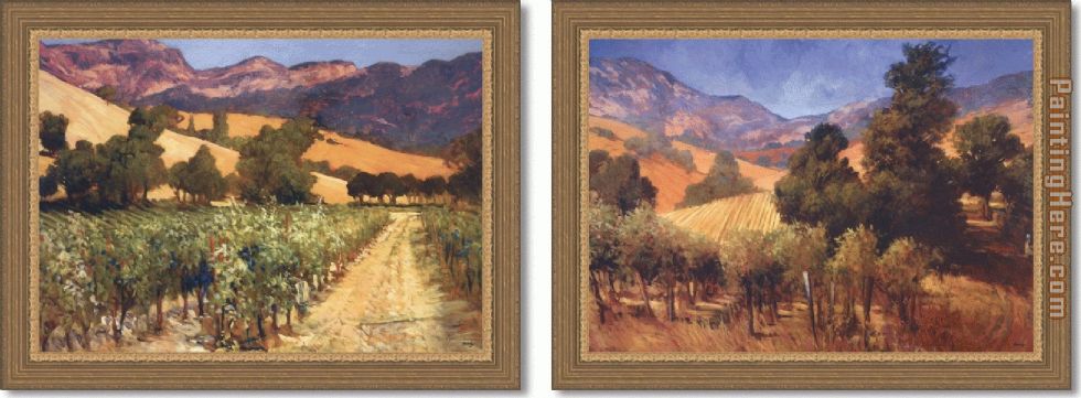 Country Vineyard Hills - Set painting - Philip Craig Country Vineyard Hills - Set art painting